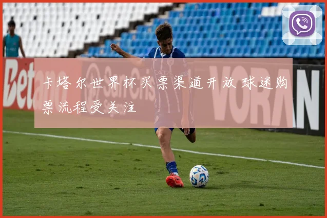 卡塔尔世界杯买票渠道开放 球迷购票流程受关注