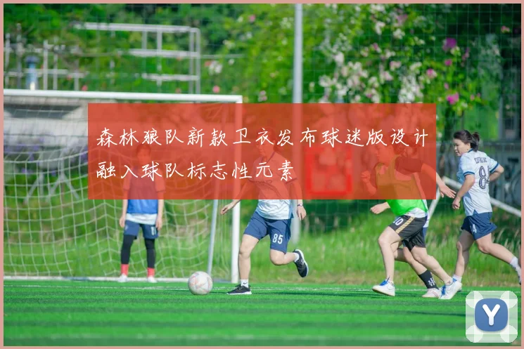 森林狼队新款卫衣发布球迷版设计融入球队标志性元素