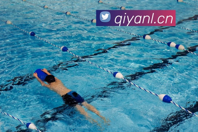 App Interface Preview